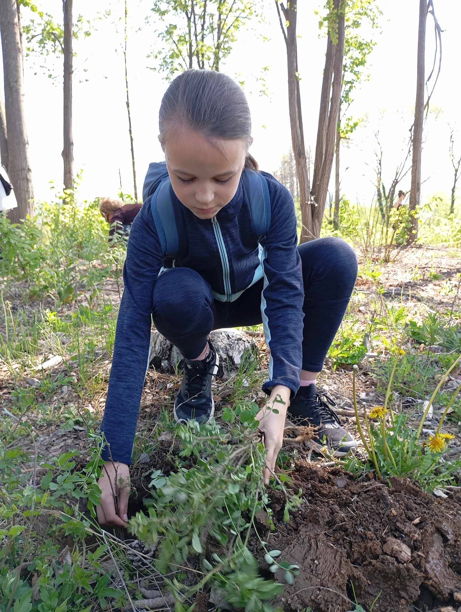 Над 120 доброволци засадиха 2 000 дръвчета в землището на Долна Кремена 
